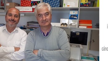 Nuevos fármacos inhibidores del subtipo PROTAC son efectivos en cáncer de mama triple negativo