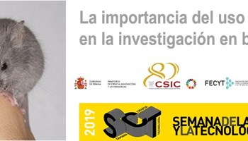 SEMANA DE LA CIENCIA 2019