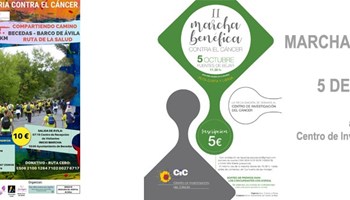 Marchas solidarias a favor del Centro de Investigación del Cáncer