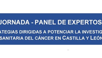 Jornada - Panel de expertos: estrategias dirigidas a potenciar la investigación sanitaria del Cáncer en Castilla y León