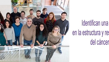 Identifican una ruta implicada en la estructura y respuesta terapéutica del cáncer de mama