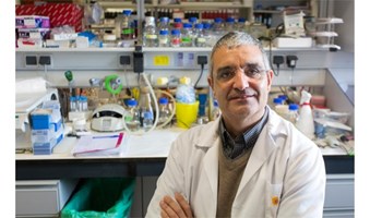 El Dr. Xosé R. Bustelo, investigador del CIC, ocupa la presidencia de la Asociación Española de Investigación sobre el Cáncer