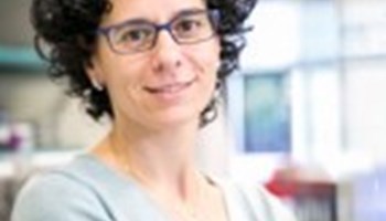 Tumor genomes shed light into somatic mutational processes and cancer vulnerabilities.