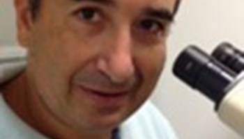 La ciencia que subyace bajo la selección de linfocitos para la producción del CAR-T
