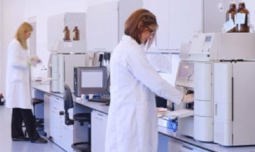 Molecular Mechanisms of Cancer Program