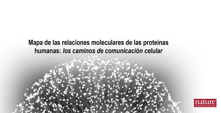 Noticia