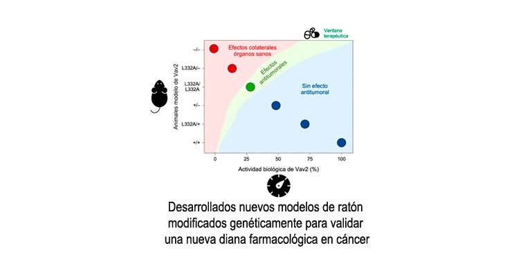 Noticia