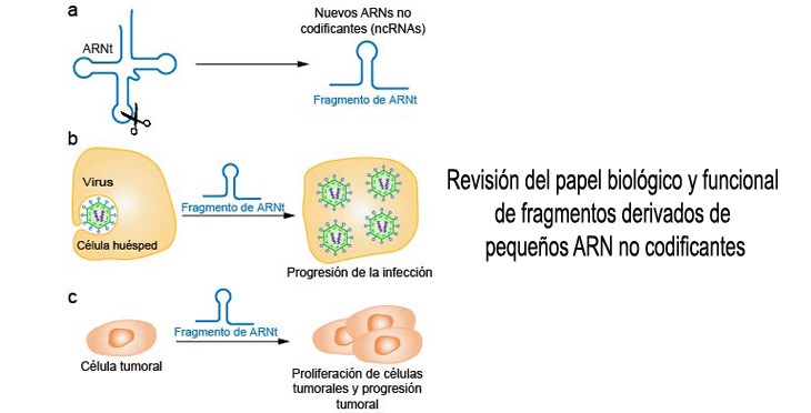 Noticia