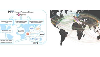 Publicado primer mapa de Proteoma Humano respaldado por la Organización del Proteoma Humano (HUPO)