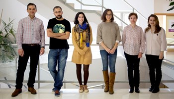 Descubierto mecanismo esencial para mantener el desarrollo de leucemia linfoblástica aguda de células B