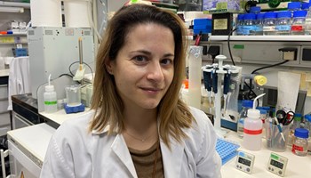 Commensal gut microbiota protects genetically predisposed mice against acute lymphoblastic leukaemia