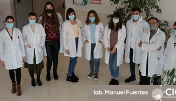 Identificados nuevos cambios dinámicos en el metabolismo de células B durante su diferenciación