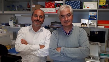 El uso combinado de un nuevo fármaco mejora la eficiencia de algunos tratamientos de cáncer de mama