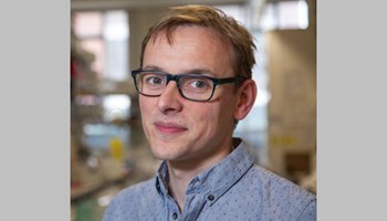 Evolutionary dynamics of human cancers