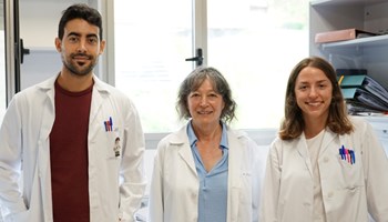 Definida nueva forma de atacar al adenocarcinoma de pulmón que podría mejorar los tratamientos actuales