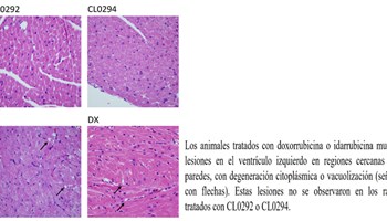 Detectados dos nuevos compuestos que inhiben al gen Ras y muestran menos toxicidad