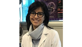 Insights into ALK biology to unravel novel therapeutic pathways