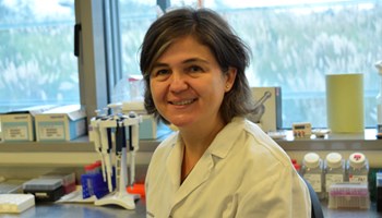 Stromal cytokine signalling promotes breast cancer progression by reprograming the tumor microenvironment