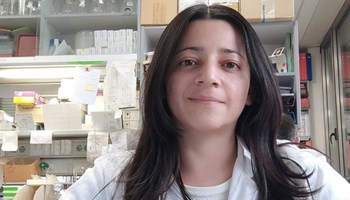 Collective downregulation of a group of tumor suppressors in response to EGF: The role of TSHZ2 in cancer progression