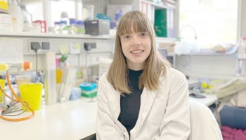 Role of C3G in platelet spreading and vesicle trafficking