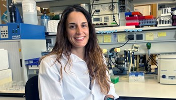 TESIS DOCTORAL: Leucemia infantil de células B: preleucemia, estrés inmunológico y prevención.