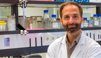 Immunogenomic Research in Hematological Malignancies: From Bench to Bedside