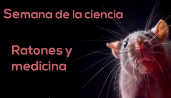 Ratones y medicina