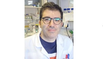 VAV1 mutations act as cancer drivers in T cell lymphomas