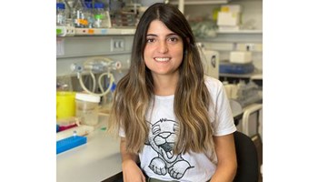 Defensa de la tesis doctoral "VRK1 functions in the DNA damage and oxidative stress responses and its implication in novel cancer therapies"
