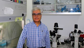 AHR adjusts senescence and stemness: impact in tissue regeneration and tumor progression