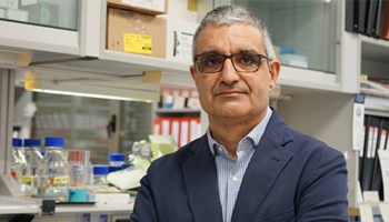 Descubren el motivo del fracaso de ciertos compuestos antitumorales y alumbran el mecanismo para hacerlos más efectivos