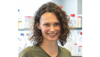 Cellular functions of regulator proteins – or why biochemistry needs high-throughput genetic interaction screens