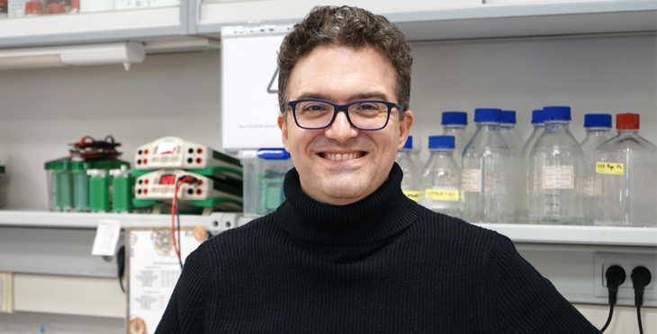 Exploring the role of the cellular contractome and c-ABL in morphological transitions during cell migration and viral infection.