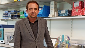 Targeting Senescence in Lung Cancer: Novel Cancer Preventative and Therapeutic Opportunities
