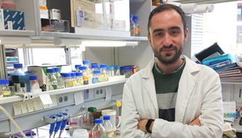 Functional analysis of a SYCE1 variant causative of Premature Ovarian Failure and the histone H1FOO in fertility