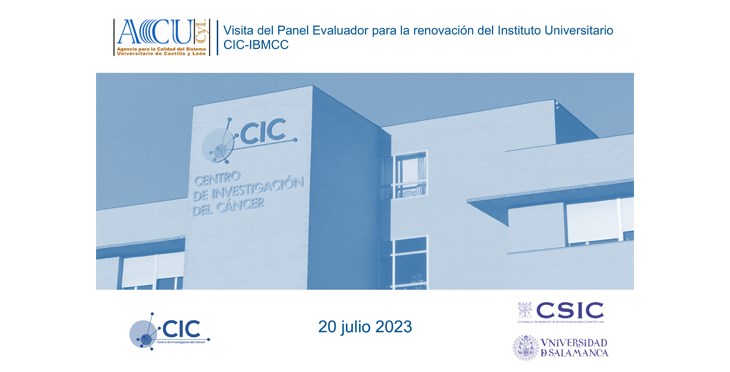 Noticia