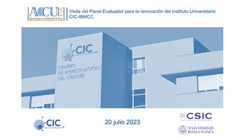 Acreditación del Instituto Universitario