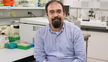 Día de la nanotecnología