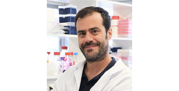 Uncovering the role of flavin-containing monooxygenase 4 in lung adenocarcinoma: a new protector against ferroptosis