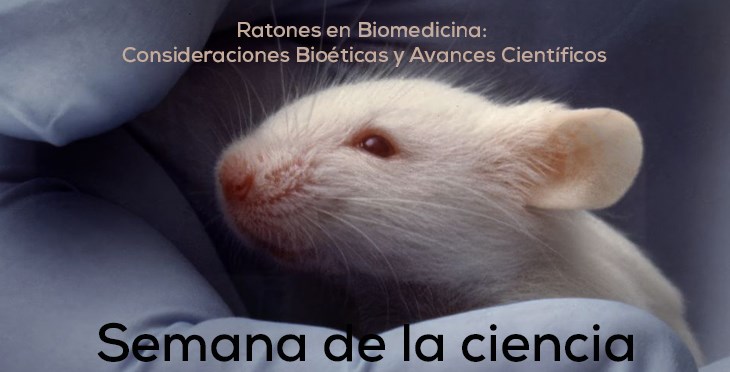 Noticia