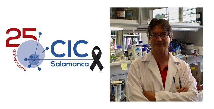 Noticia