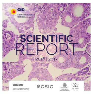 Scientific Report 2016/2017