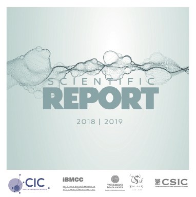 Scientific Report 2018/2019