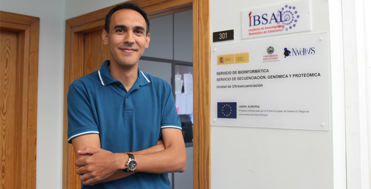 Unlocking Bioinformatics: Interactive Tools for Visual and Web-Based Analysis
