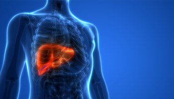 Desarrollados nuevos modelos experimentales para avanzar en el tratamiento del cáncer de hígado