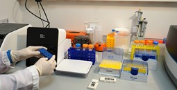 El CIC incorpora tecnologías de frontera para entender el origen de las metástasis o las recaídas en los tratamientos oncológicos