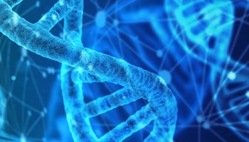 El Centro de Investigación del Cáncer reivindica el Día del ADN para explicar qué dice realmente la ciencia sobre genética, cáncer y epigenética