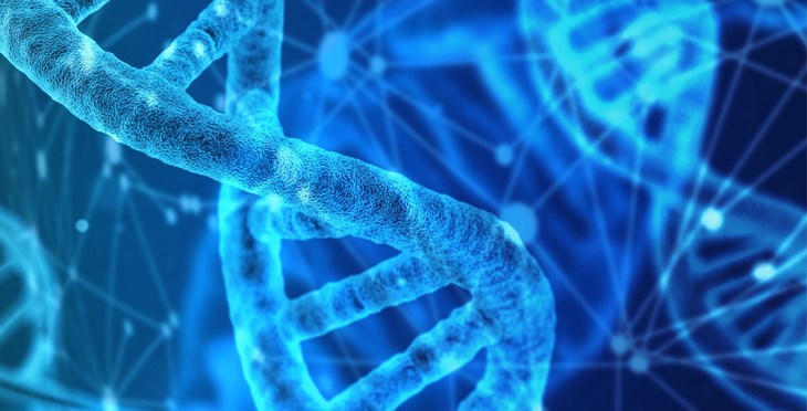 El Centro de Investigación del Cáncer reivindica el Día del ADN para explicar qué dice realmente la ciencia sobre genética, cáncer y epigenética