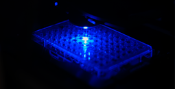 El Centro de Investigación del Cáncer de Salamanca reivindica la microscopía avanzada como herramienta clave para hacer visible la biología tumoral