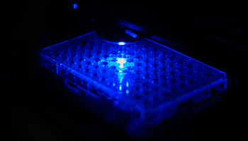 El Centro de Investigación del Cáncer de Salamanca reivindica la microscopía avanzada como herramienta clave para hacer visible la biología tumoral